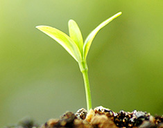 社会貢献環境活動レポート