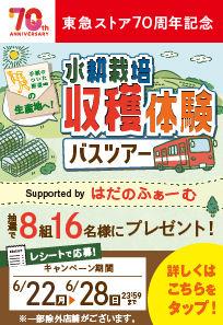東急ストア70周年記念 水耕栽培収穫体験バスツアープレゼントキャンペーン