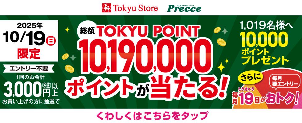 1019万ポイントキャンペーン